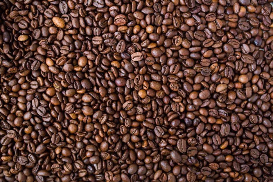 Creating the Perfect Cup of Coffee | Part One - Third Wave Water