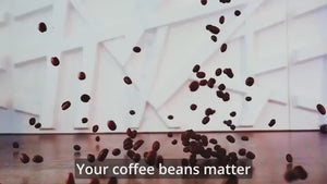 Classic Light Roast Profile